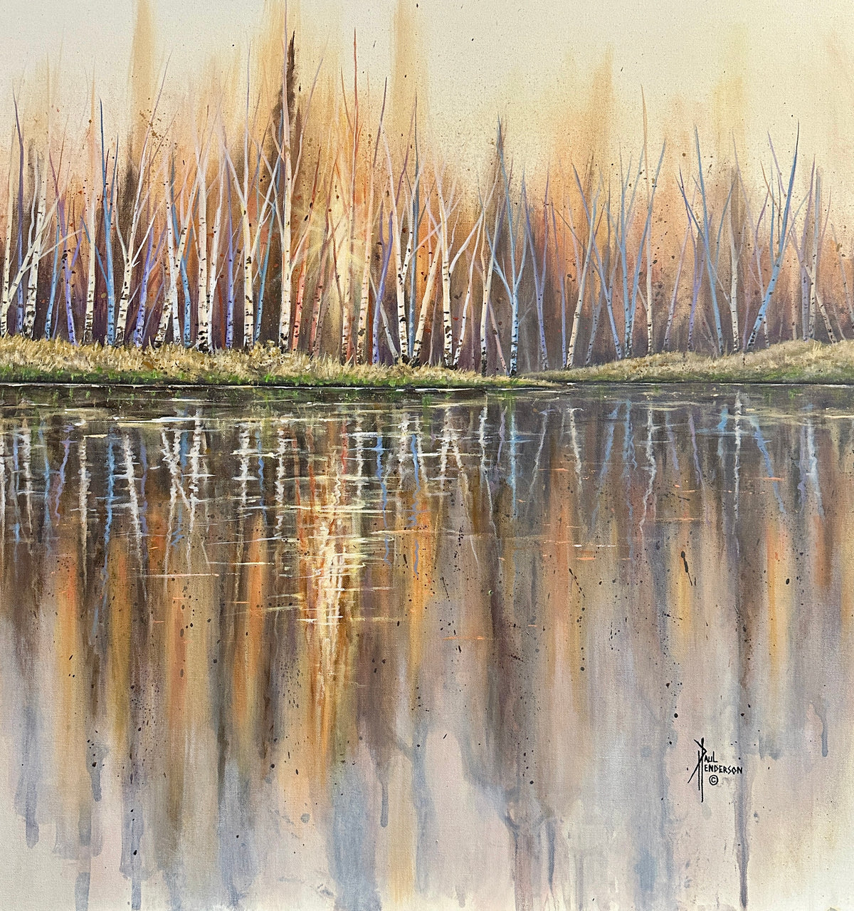 Birch Glow IV by Paul S Henderson