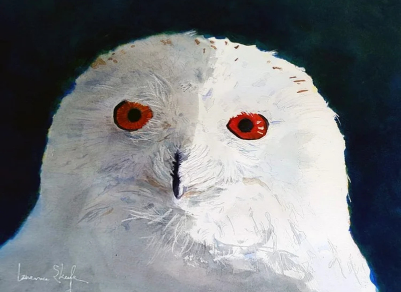 Snowy Owl by Laurence E. Keefe