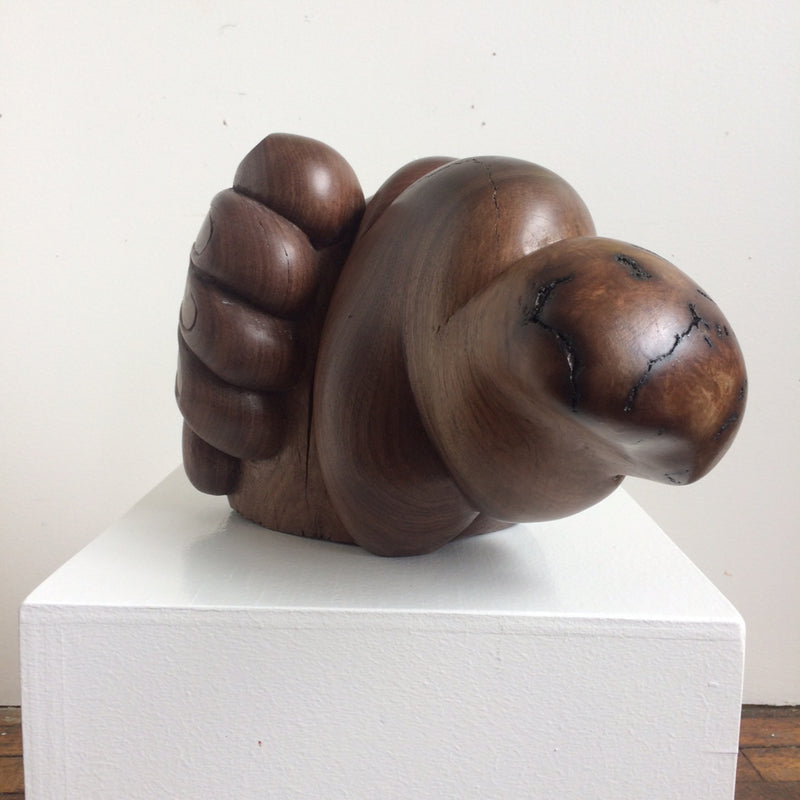 Burl in Hand by Peter Gohringer
