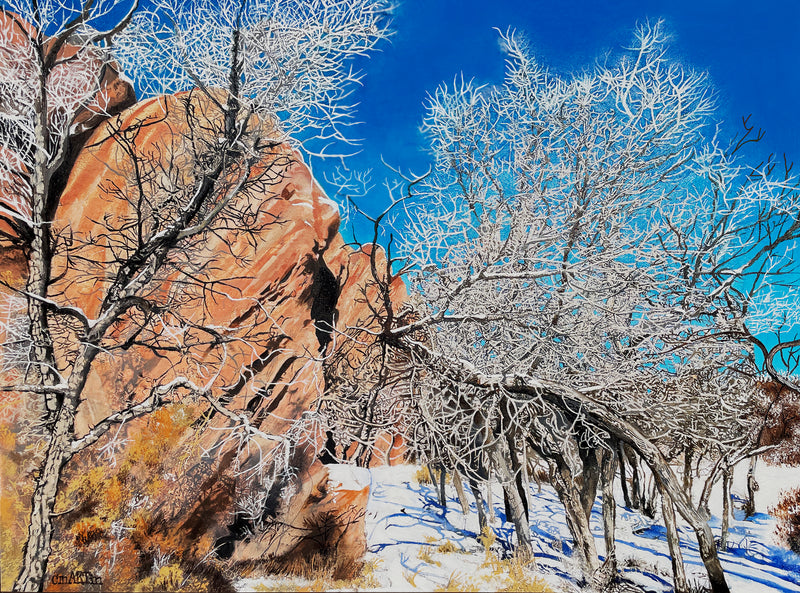 Red Rocks and White Lace by Carrie Martin