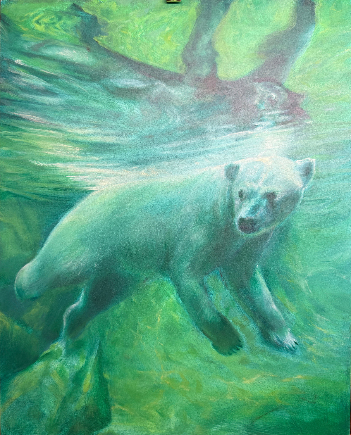 Aurora Dreaming by Rosemary Pergolizzi