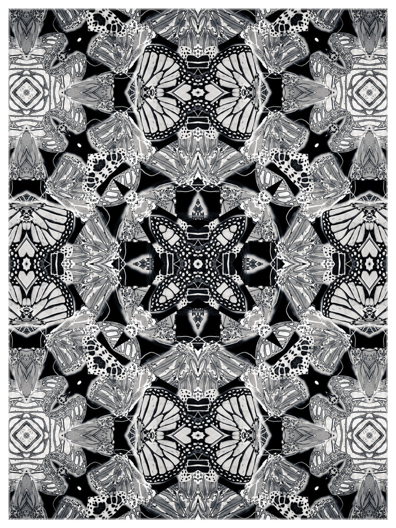 The Monarchy B + W by Joanie Landau