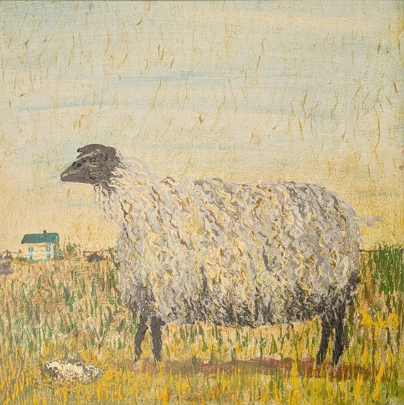 Scottish Ewe Mournes by Douglas Black