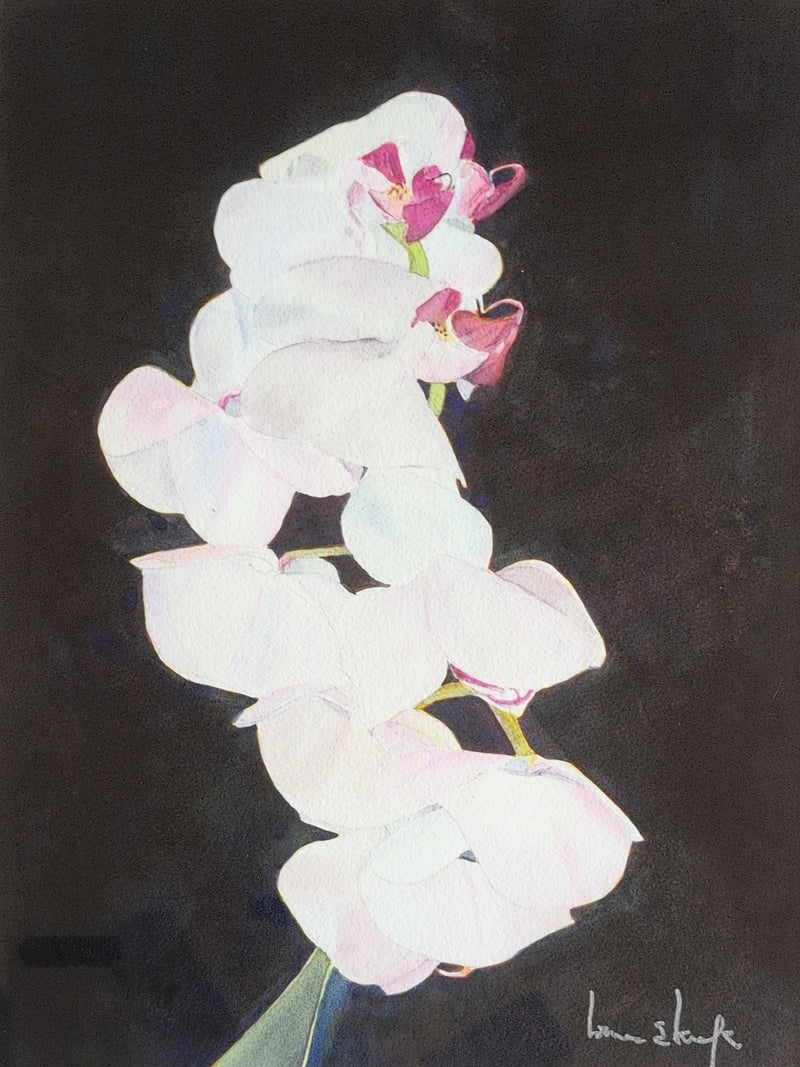 White Single Stem Orchid by Laurence E. Keefe