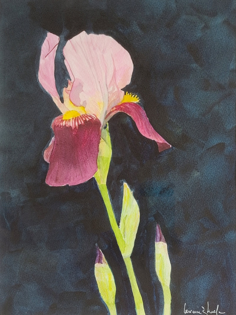Summer Gladiola by Laurence E. Keefe