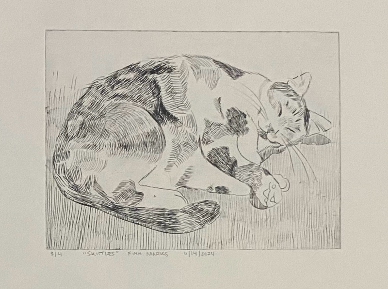 "Skittles" by Finn Marks